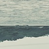 Martha Noll - Sunday, 5Pm