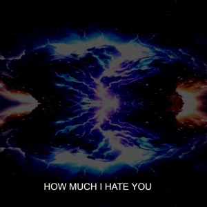 HOW MUCH I HATE YOU (feat. O N L Y Lofi)