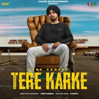 Tere Karke - Single - Harp Sandhu