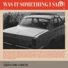 Was It Something I Said? - Single