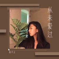 从未爱过 - Single - 晨不正