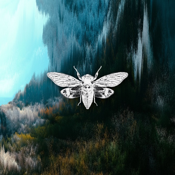 Beliefs - Single