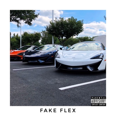 Fake Flex - Single