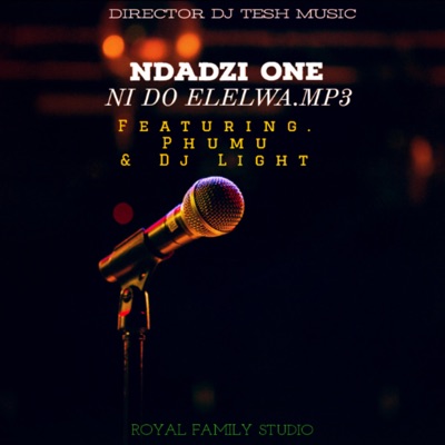 Ni Do Elelwa (feat. Phumu & Dj Light) - Single