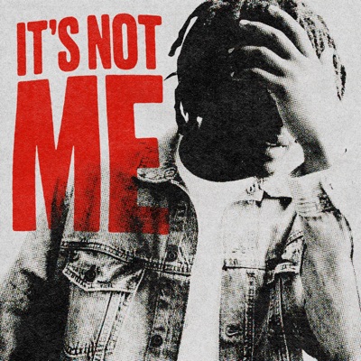 It's Not Me - Single