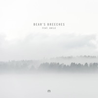 Bear's Breeches (feat. Anile) - Single - Etherwood
