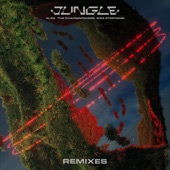 Jungle (Pontifexx Remix) artwork