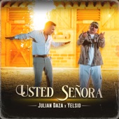 Usted Señora artwork