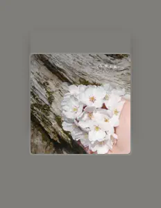 Listen to しらいみちよ, watch music videos, read bio, see tour dates & more!