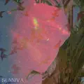 Rhubarb