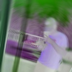 XivPrada