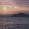 Music for Deep Sleep 2022: Treatment of Insomnia Sleep Disorder, Delta Waves, Healing Sounds for Trouble Sleeping, Dreaming & Sleep Deeply - Healing Meditation Zone, Pure Spa Massage Music & Serenity Music Relaxation