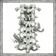 Itterasshai - EP - Ai Higuchi