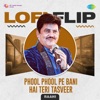 Phool Phool Pe Bani Hai Teri Tasveer (LoFi Flip) - Single