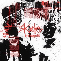 Immagetit - Single - SKUNKZ