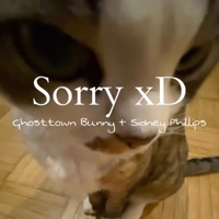 Sorry xD (feat. Sidney Phillips) - Single - Bunny Grimez