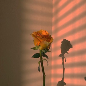 I'm Not Yours (feat. Osias)