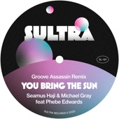 You Bring the Sun (feat. Phebe Edwards) [Groove Assassin Classic Radio Edit] artwork
