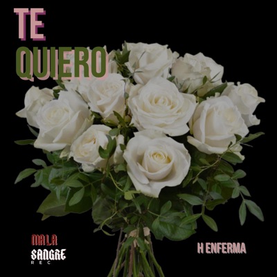 Te Quiero (feat. Garabato Beats) - Single