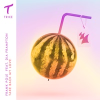 Take Back My Love (feat. Dia Frampton) - Single - Frank Pole