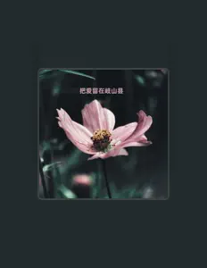 Poslechněte si interpreta 歌者千寻, sledujte hudební videa, přečtěte si životopis, podívejte se na data turné a další informace.