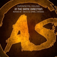 In the Same Direction (Remixes) - Single - Experimental Feelings, Ivanshee & Eli Spiral