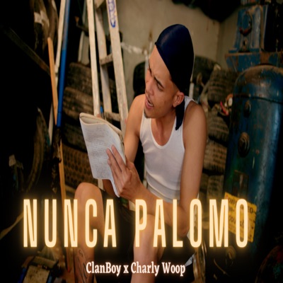 Nunca Palomo - Single