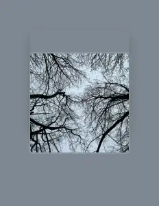 Listen to lobotomised android garbage, watch music videos, read bio, see tour dates & more!