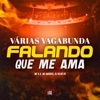 Varias Vagabunda Falando Que Me Ama (feat. Love Funk) - Single