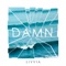 Damn - LIVVIA lyrics