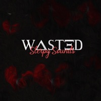 Wasted - Single - Slerpy Sounds