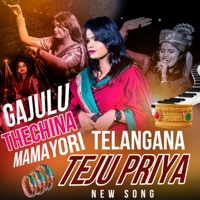 Gajulu Thechina Mamayori a Clement Anna New Songs Remake Telangana Teju Priya New Song - Single - Dj Linga