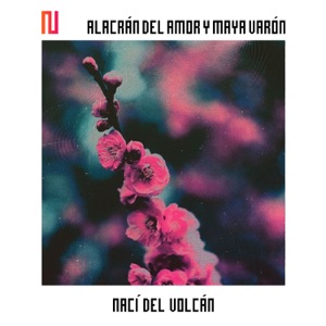 Nací del Volcán (with Maya Varón) - Single