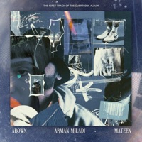 Toxic - Single - mateen & Arown