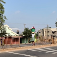 Picture Perfect - Single - Swan Lingo