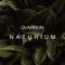 River Surroundings In the Jungle - Quarkium lyrics