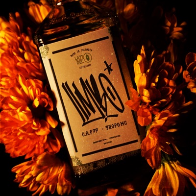 Limbo - Single