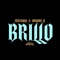 Brillo (feat. Drumz Lt) - FleeSaul lyrics