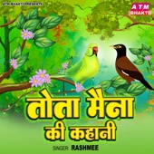 Tota Maina Ki Kahani artwork