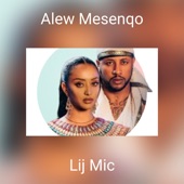 Alew Mesenqo artwork