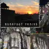 Bearfoot Trains