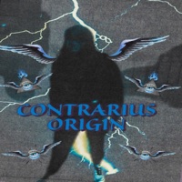 F.O.B! - Single - BeamerboiiFlex