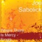 Where There Is Mercy - Joe Sabolick lyrics