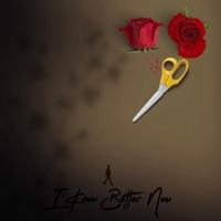 I Know Better Now - Single - yrkflash