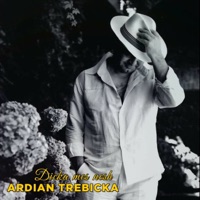 Dicka Mes Nesh - Single - Ardian Trebicka