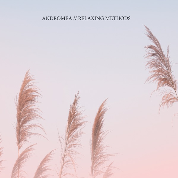 Relaxing Methods