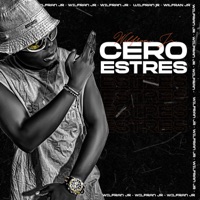 Cero Estres - Single - Wilfran Jr