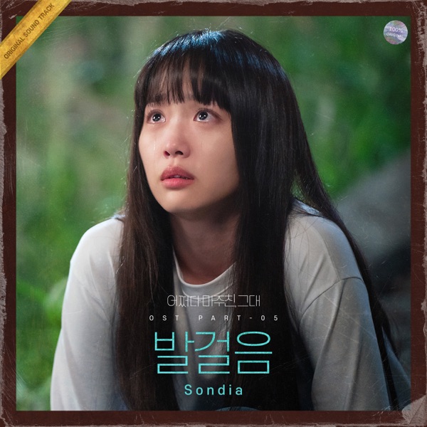 어쩌다 마주친, 그대 (Original Soundtrack), Pt. 5 - Single - Sondia