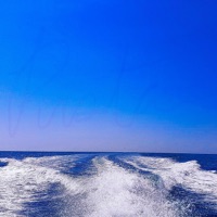 Prota (feat. Alex.A.N.D.E.R.) [Collaboration v1] - Single - Ash Bash