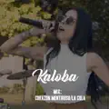 CORAZON MENTIROSO